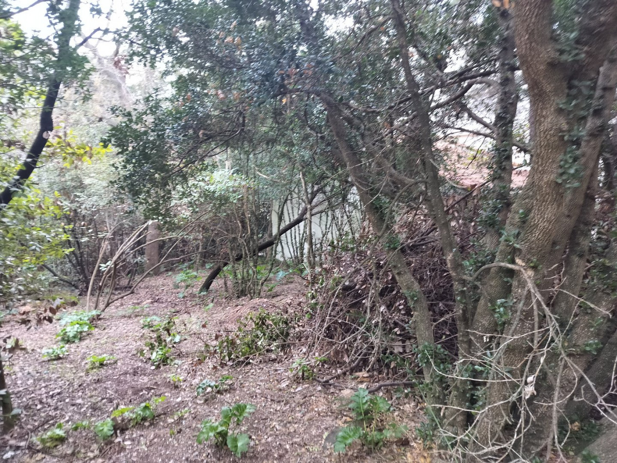 vente Terrain Sete - Photo 10