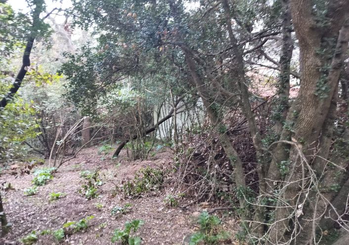 vente Terrain Sete