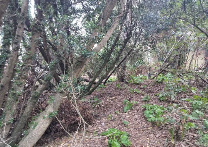 vente Terrain Sete