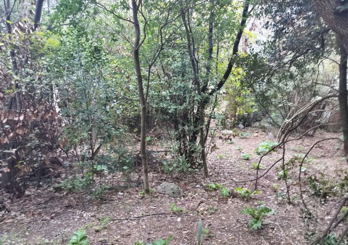 vente Terrain Sete