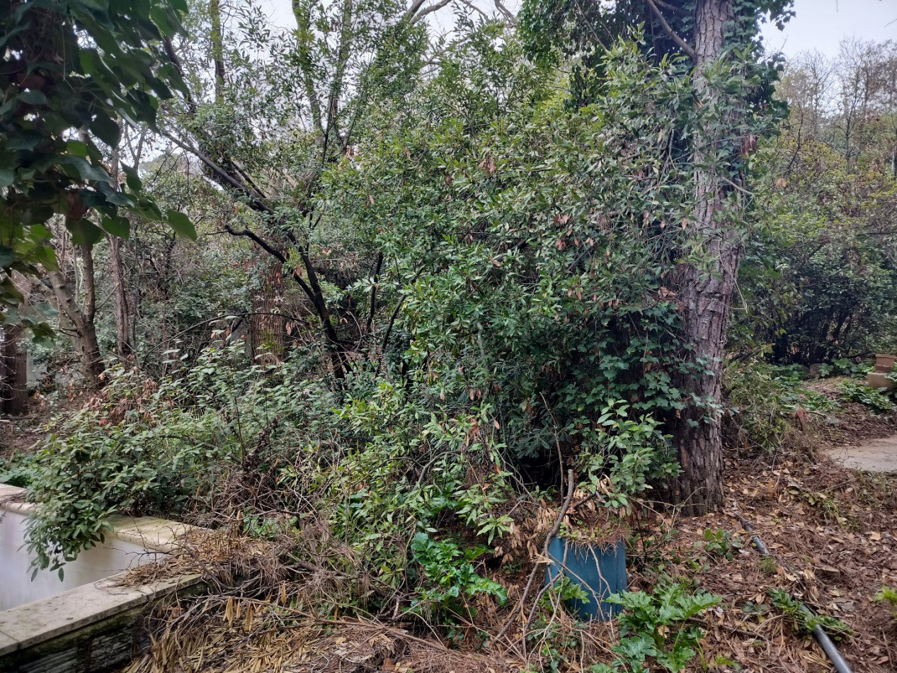 vente Terrain Sete - Photo 3