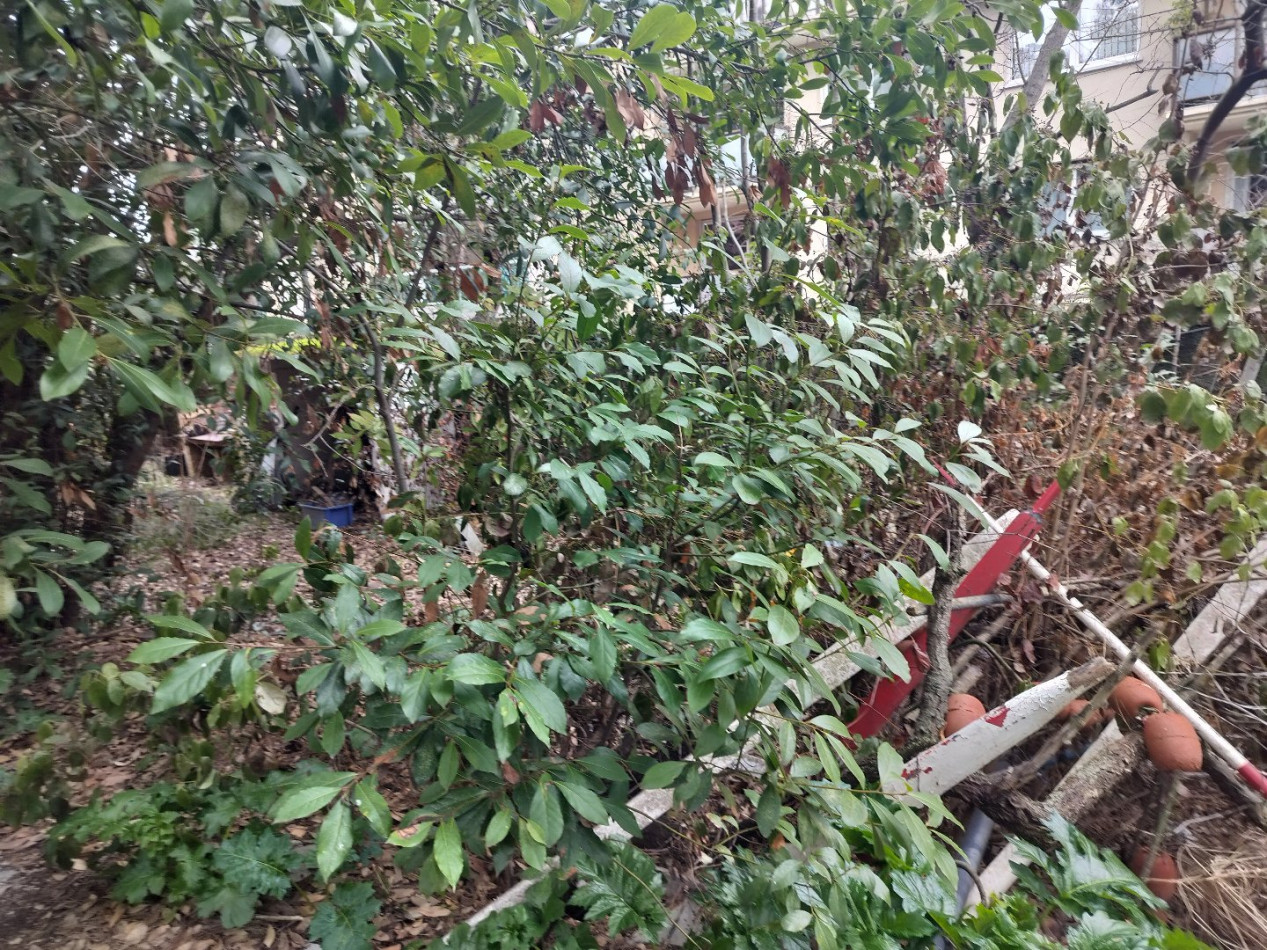 vente Terrain Sete - Photo 4