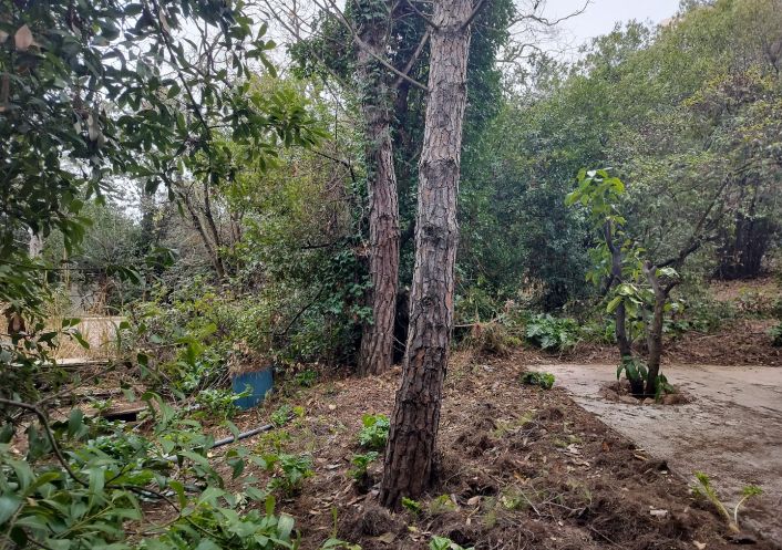 vente Terrain Sete