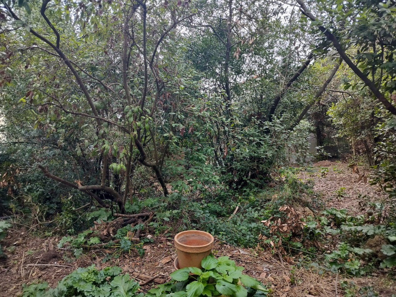 vente Terrain Sete - Photo 9