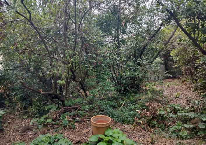 vente Terrain Sete