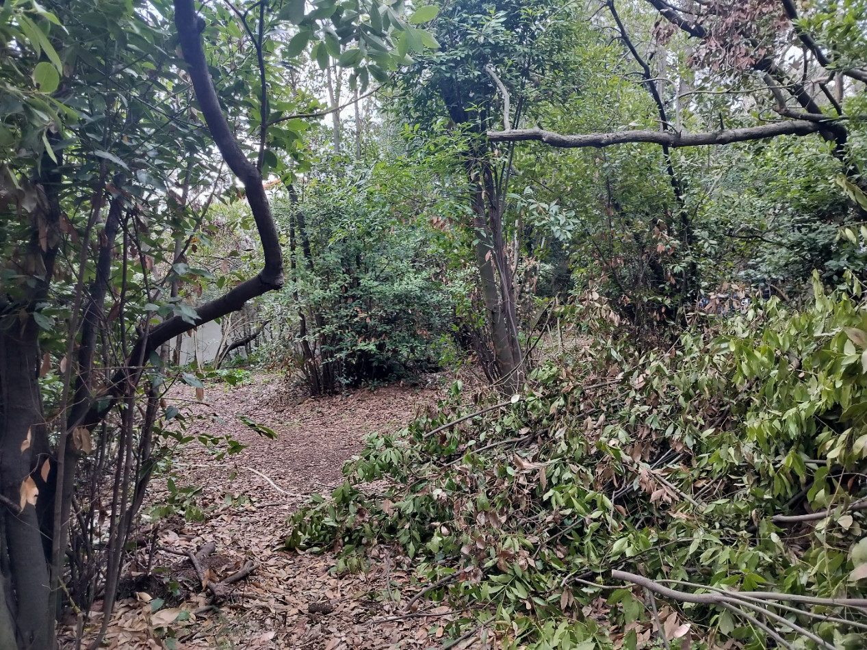 vente Terrain Sete - Photo 1