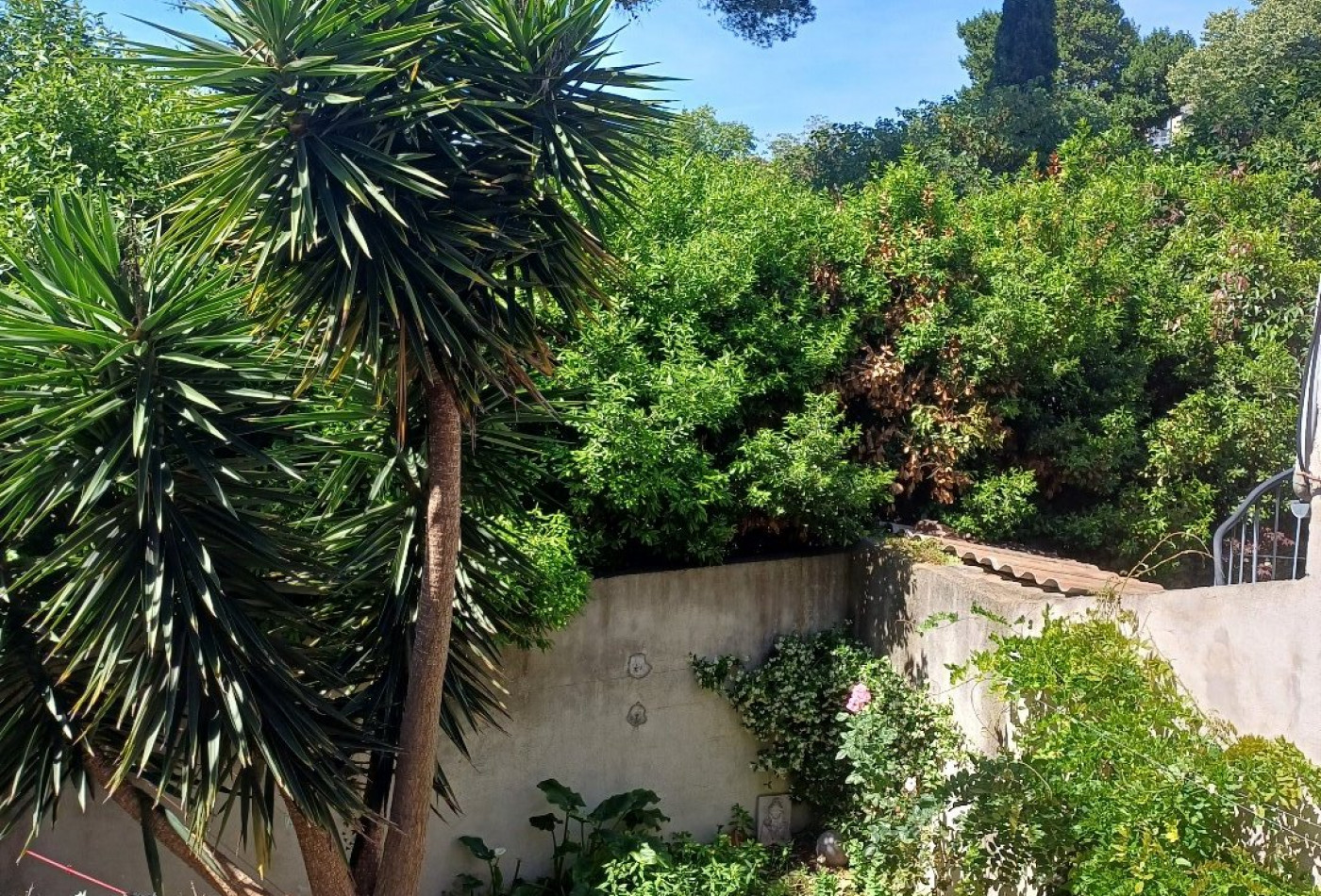 à vendre Maison vigneronne Gigean - Photo 3