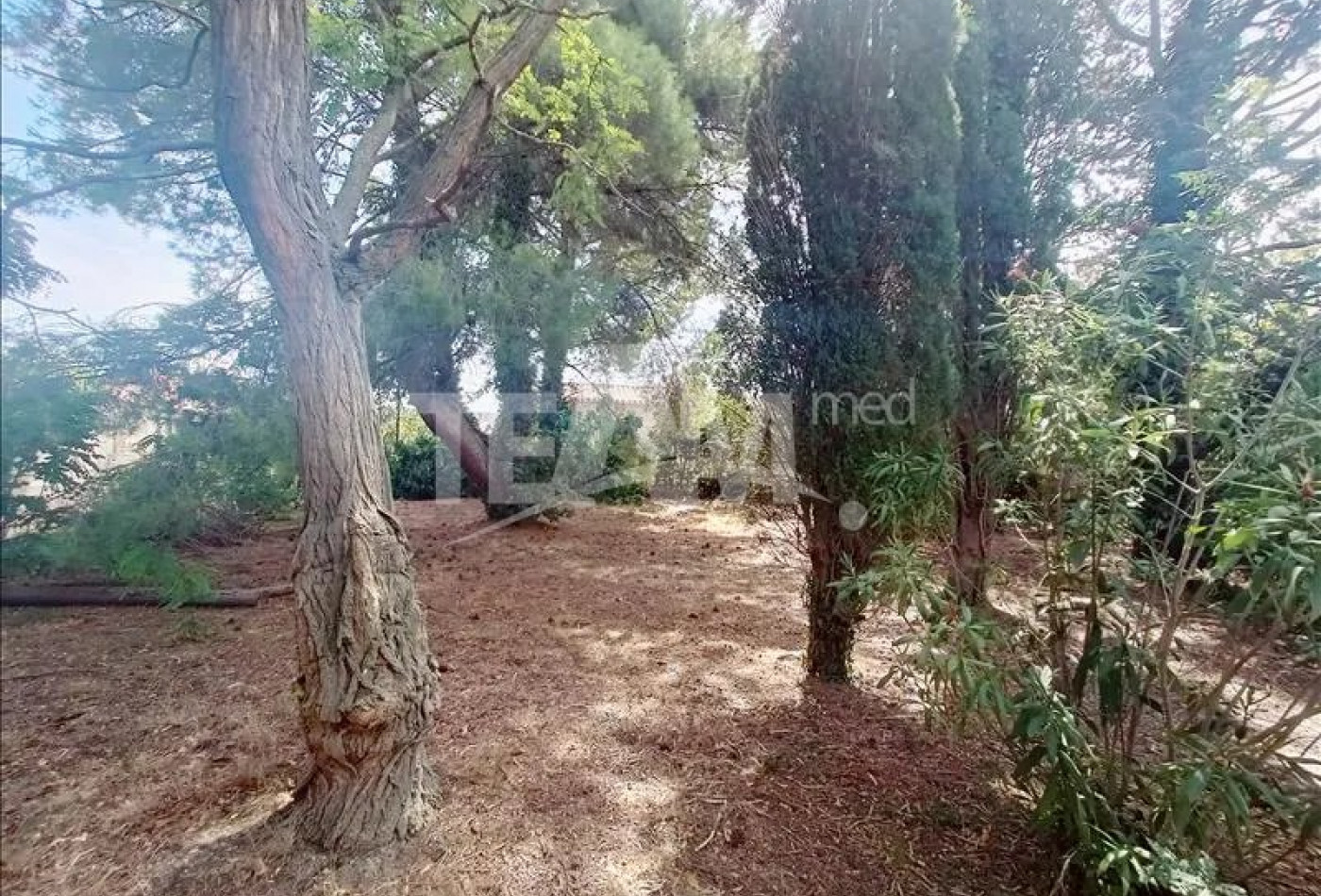 à vendre Terrain de loisir Montbazin - Photo 1