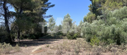 vente Terrain de loisir Montbazin