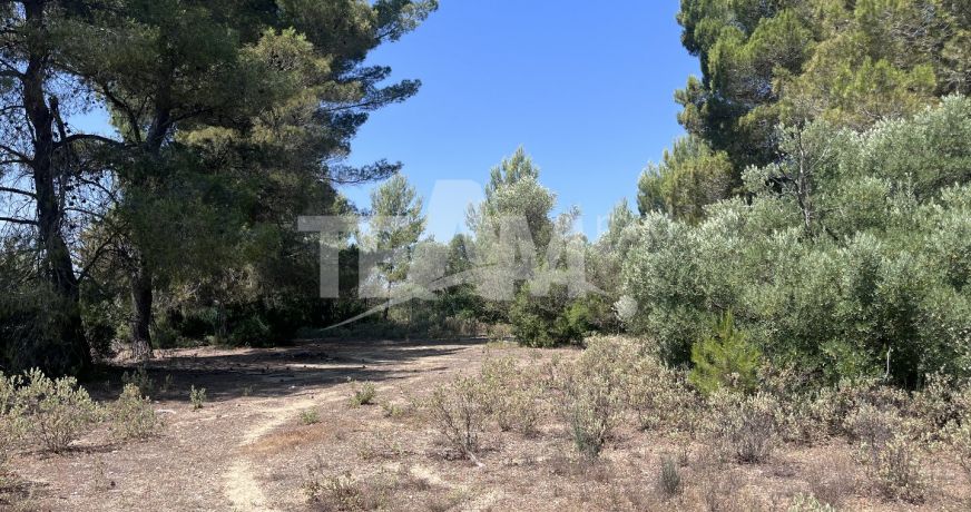 vente Terrain de loisir Montbazin