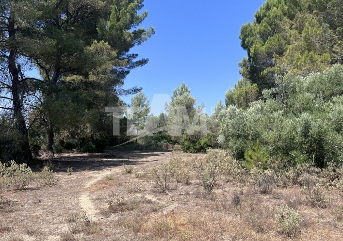 vente Terrain de loisir Montbazin