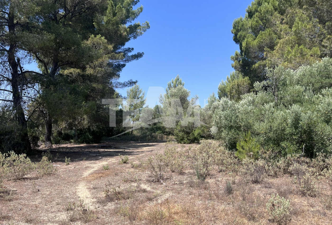 vente Terrain de loisir Montbazin - Photo 1
