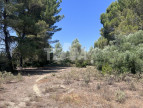 vente Terrain de loisir Montbazin