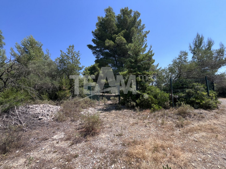 vente Terrain de loisir Montbazin - Photo 4
