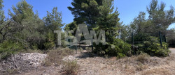 vente Terrain de loisir Montbazin