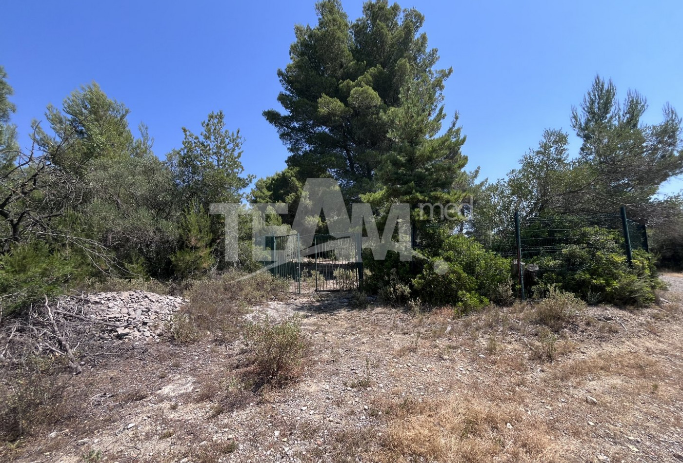 vente Terrain de loisir Montbazin - Photo 4