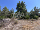 vente Terrain de loisir Montbazin