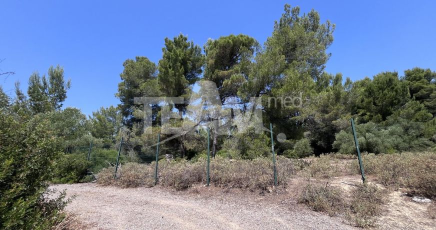 vente Terrain de loisir Montbazin