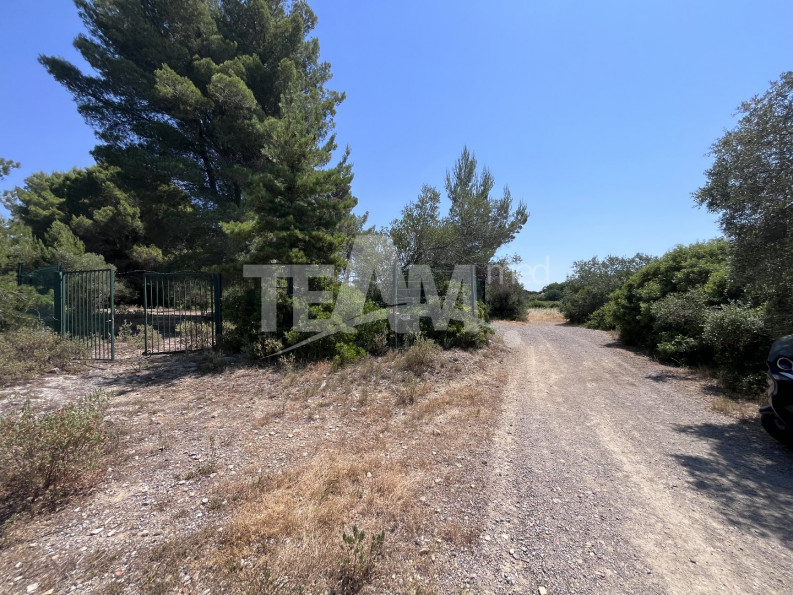 vente Terrain de loisir Montbazin - Photo 1