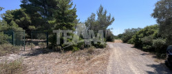 vente Terrain de loisir Montbazin