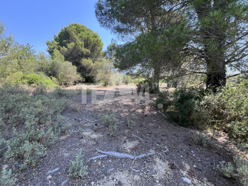 vente Terrain de loisir Montbazin - Photo 5