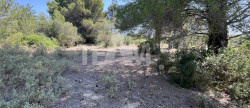 vente Terrain de loisir Montbazin