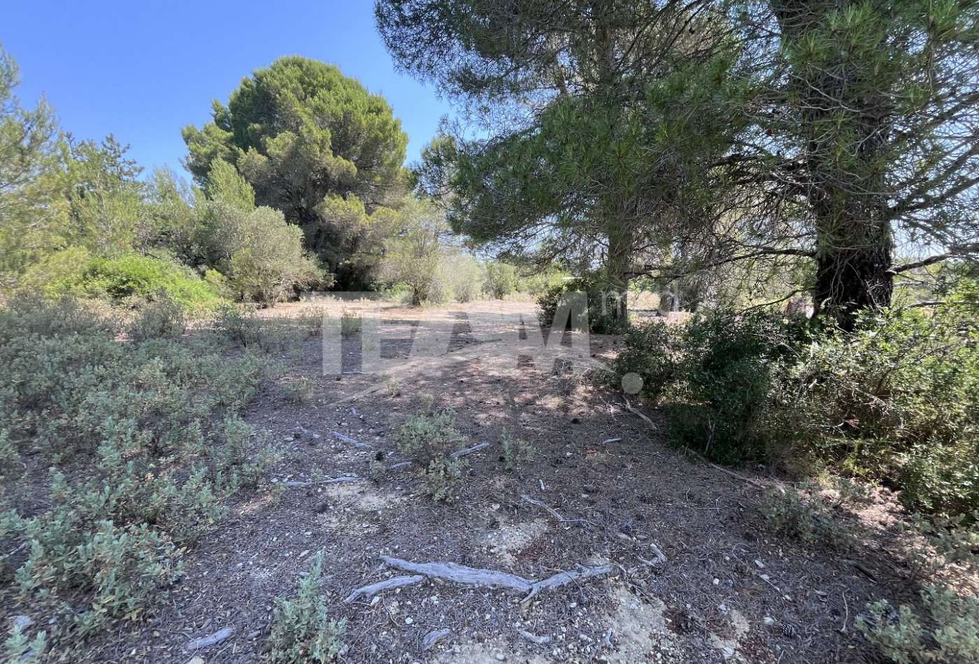 vente Terrain de loisir Montbazin - Photo 5