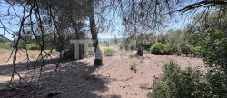 vente Terrain de loisir Montbazin