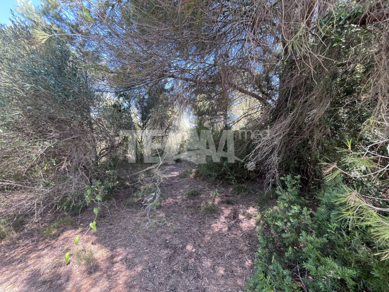 vente Terrain de loisir Montbazin - Photo 7