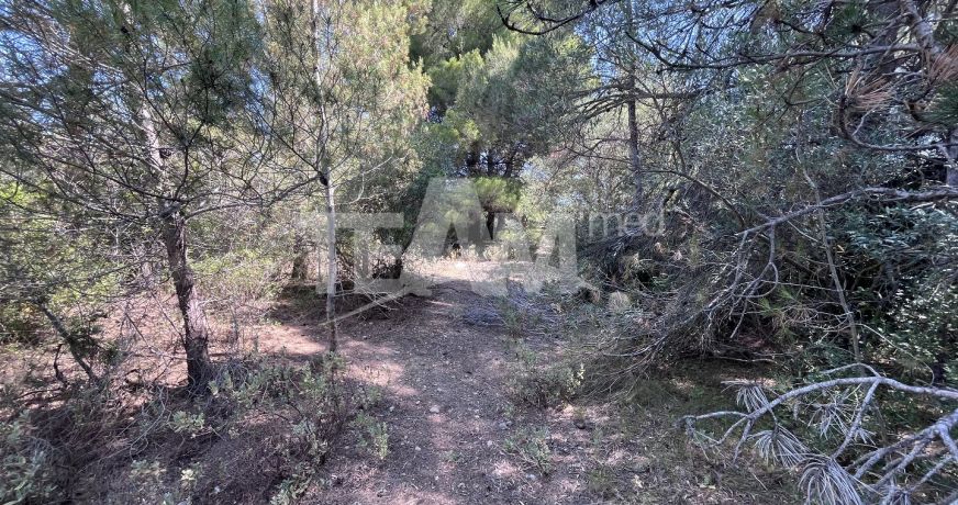 vente Terrain de loisir Montbazin
