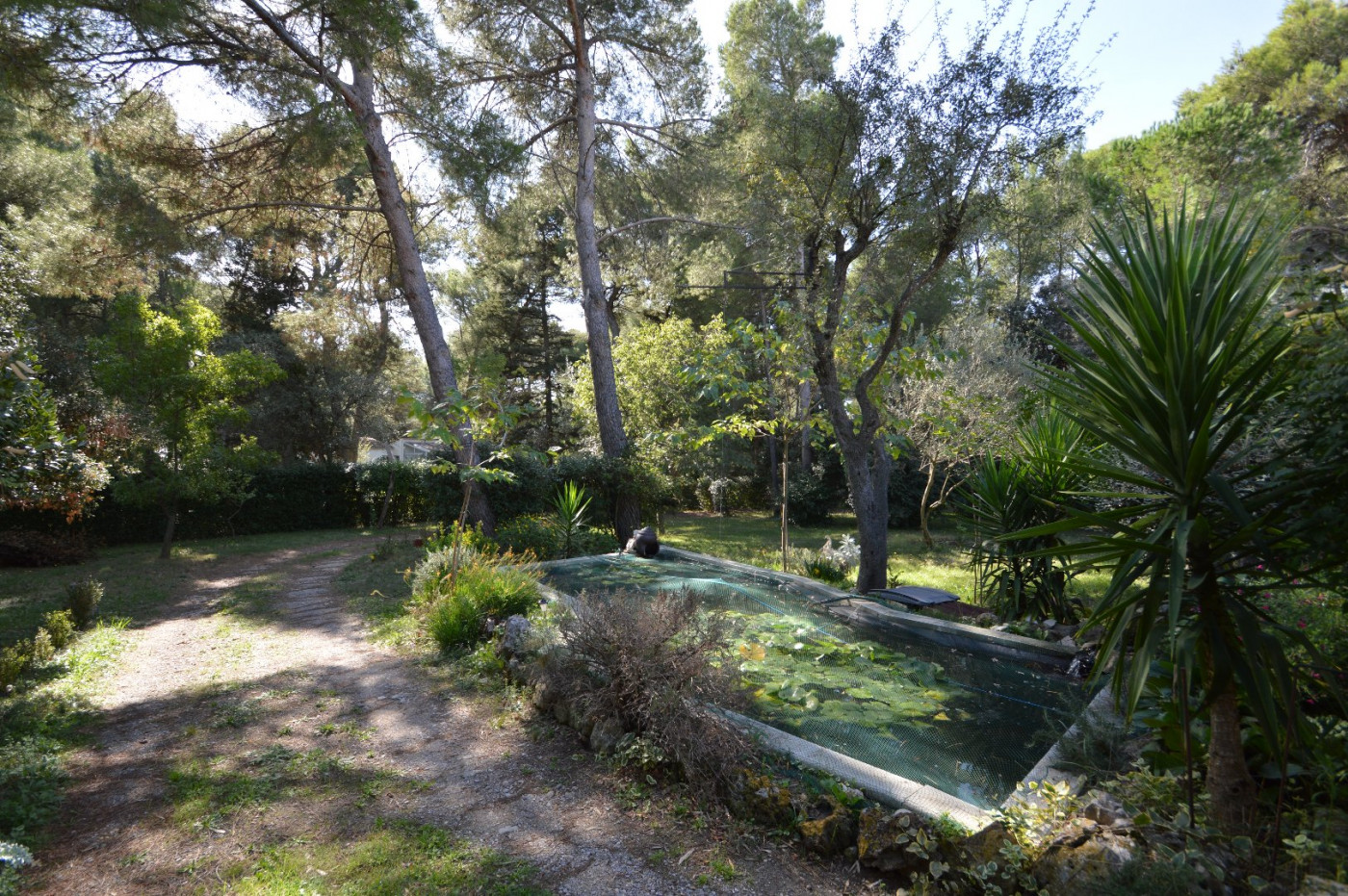 à vendre Maison Beziers - Photo 9