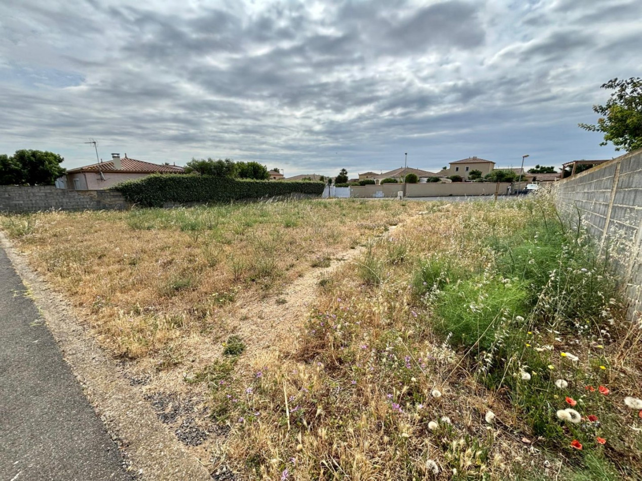 à vendre Terrain Sauvian - Photo 1