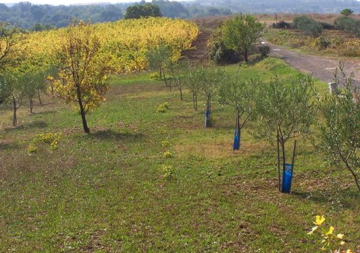 vente Terrain constructible Magalas