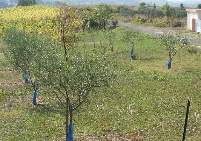 vente Terrain constructible Magalas