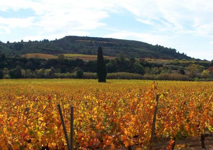 vente Maison de caractère Causses Et Veyran