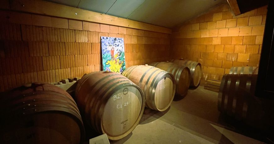 vente Propriété viticole Caux