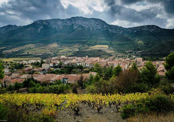 vente Maison de village Maury