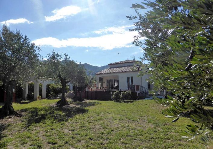 vente Villa Villelongue Dels Monts