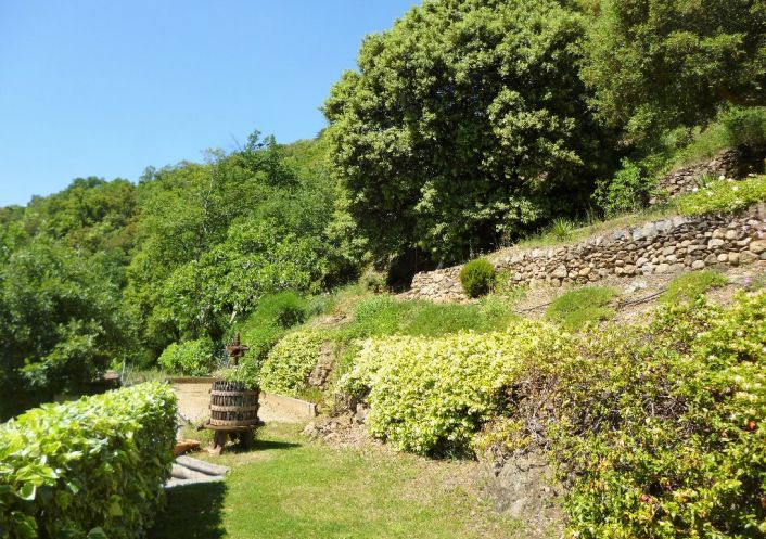 vente Maison de campagne Arles Sur Tech