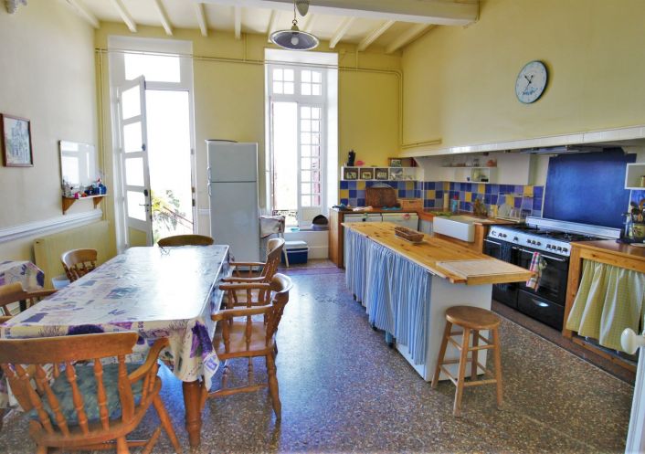 vente Château Ventenac En Minervois