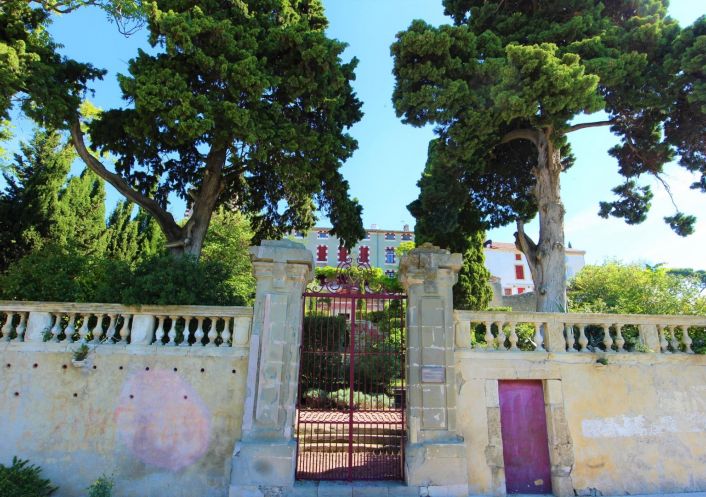 vente Château Ventenac En Minervois