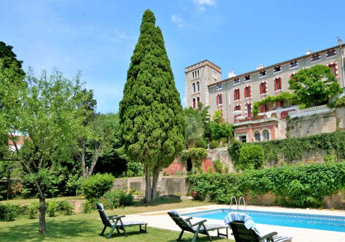 vente Château Ventenac En Minervois