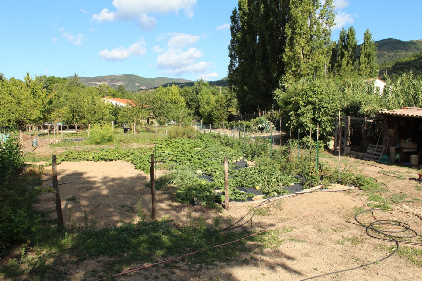 vente Villa Soubes - Photo 3