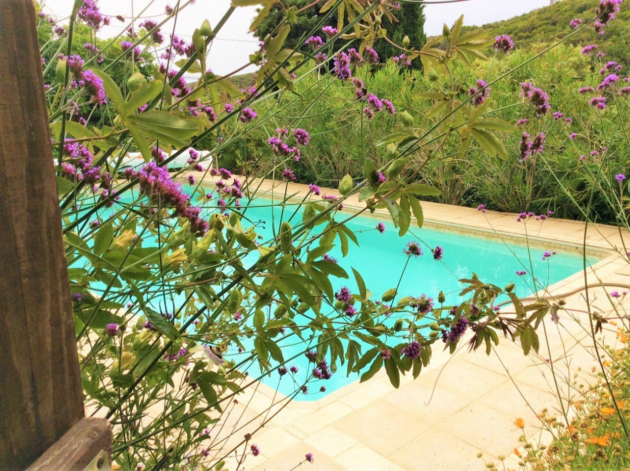 vente Maison de caractère Cabrerolles - Photo 1