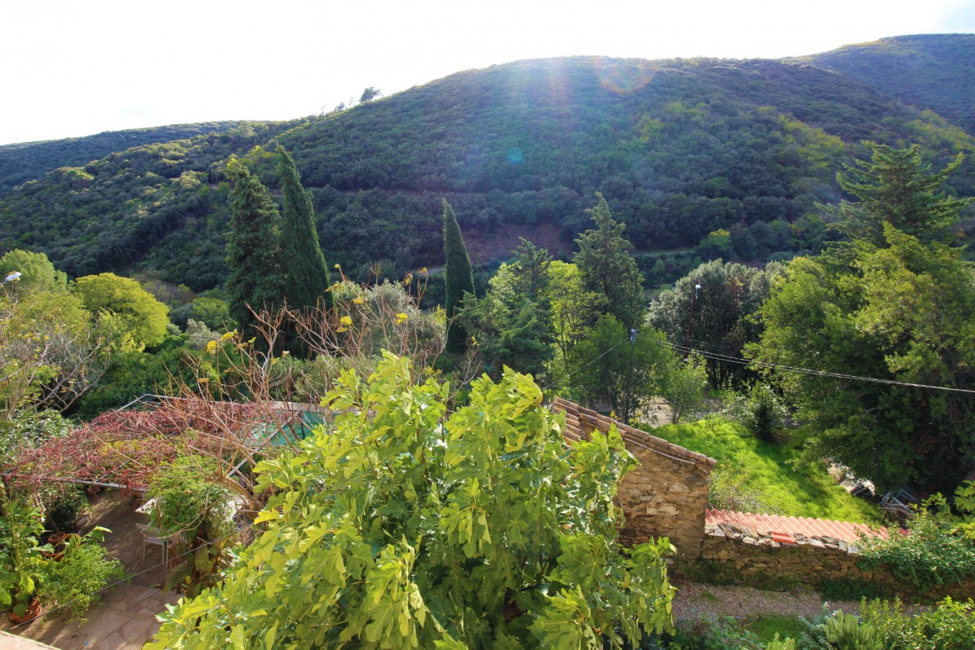 vente Maison de caractère Cabrerolles - Photo 9