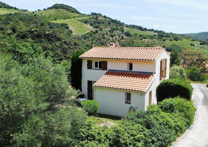 vente Maison individuelle Rasigueres