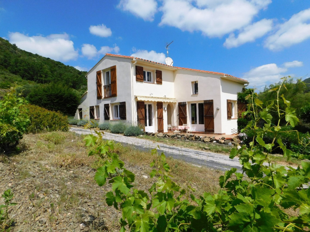 à vendre Maison individuelle Rasigueres - Photo 1