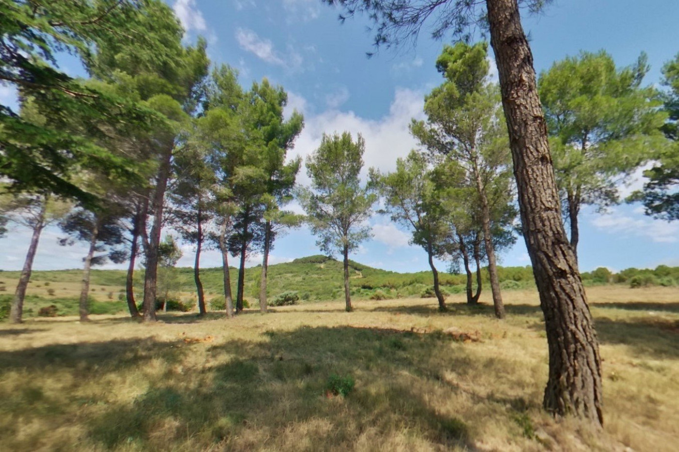 vente Maison de campagne Cabrieres - Photo 6