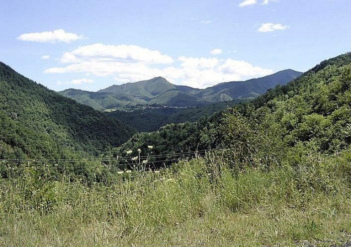 vente Maison de caractère Le Tech