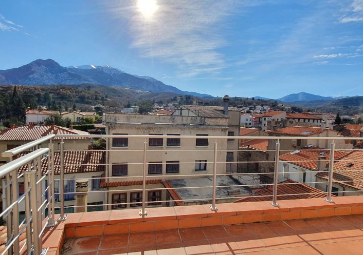vente Immeuble mixte Prades